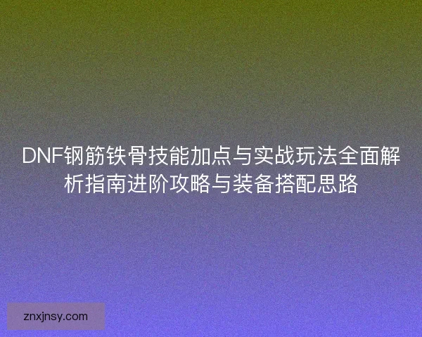 DNF钢筋铁骨技能加点与实战玩法全面解析指南进阶攻略与装备搭配思路